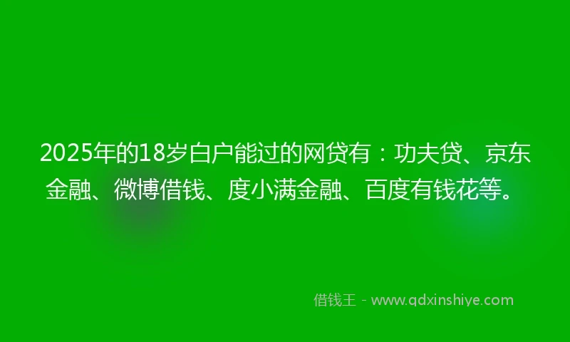 2025年的18岁白户能过的网贷有：功夫贷、京东金融、微博借钱、度小满金融、百度有钱花等。