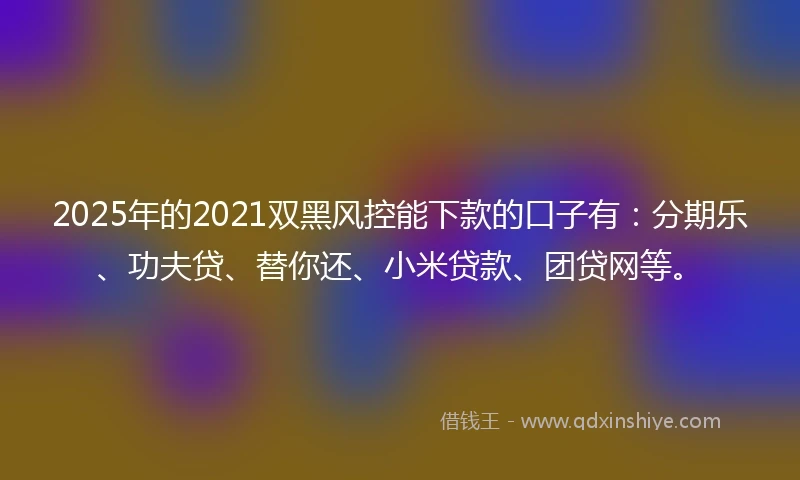 2025年的2021双黑风控能下款的口子有：分期乐、功夫贷、替你还、小米贷款、团贷网等。