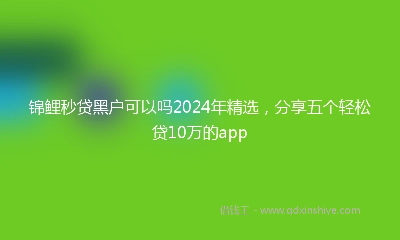 锦鲤秒贷黑户可以吗2024年精选，分享五个轻松贷10万的app