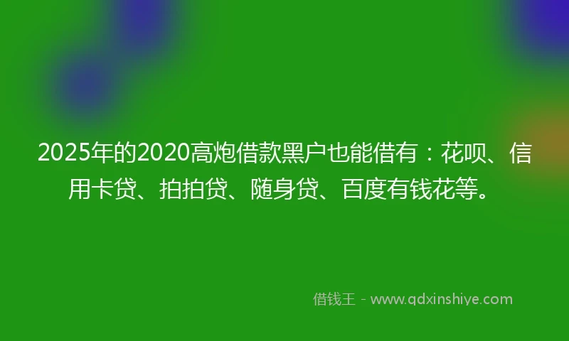 2025年的2020高炮借款黑户也能借有：花呗、信用卡贷、拍拍贷、随身贷、百度有钱花等。