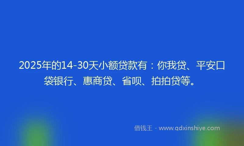 2025年的14-30天小额贷款有：你我贷、平安口袋银行、惠商贷、省呗、拍拍贷等。