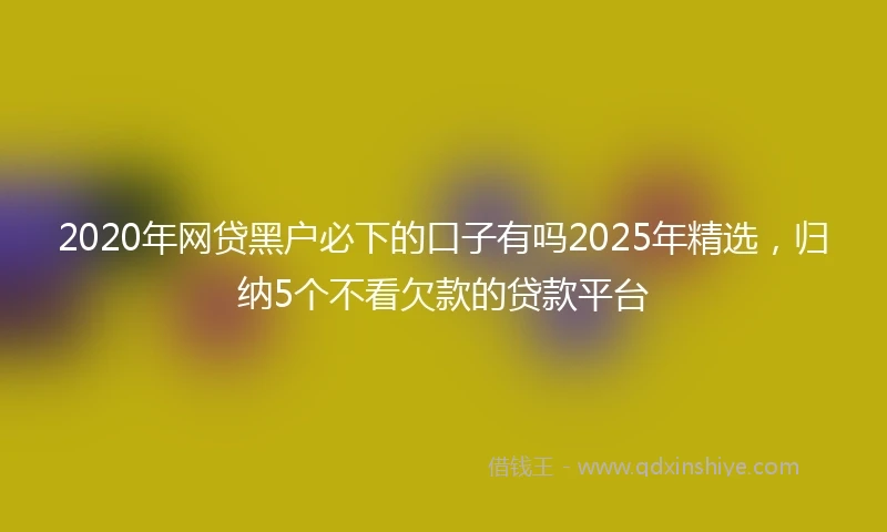 2020年网贷黑户必下的口子有吗2025年精选，归纳5个不看欠款的贷款平台
