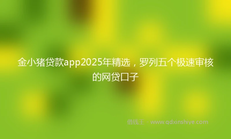 金小猪贷款app2025年精选，罗列五个极速审核的网贷口子