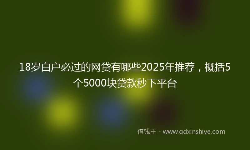 18岁白户必过的网贷有哪些2025年推荐，概括5个5000块贷款秒下平台
