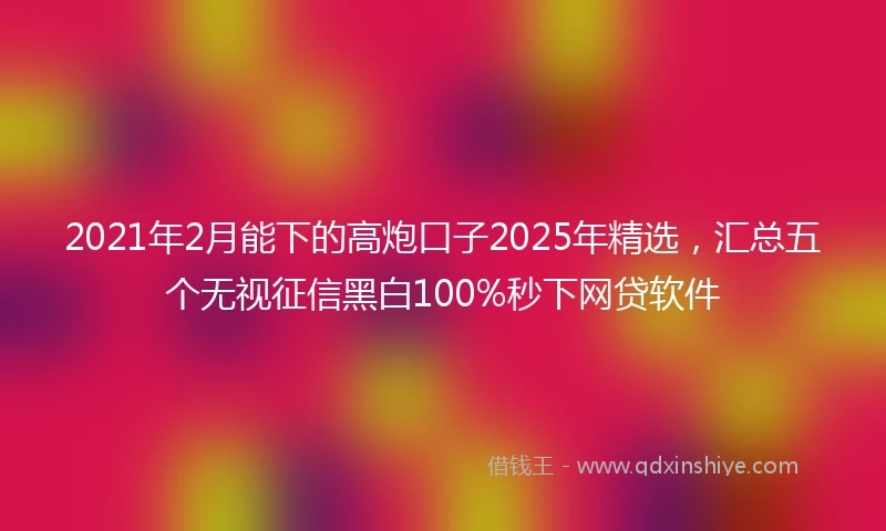 2021年2月能下的高炮口子2025年精选，汇总五个无视征信黑白100%秒下网贷软件