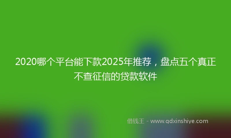 2020哪个平台能下款2025年推荐，盘点五个真正不查征信的贷款软件