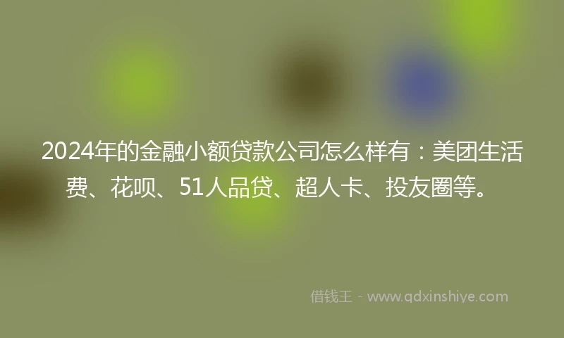 2024年的金融小额贷款公司怎么样有：美团生活费、花呗、51人品贷、超人卡、投友圈等。