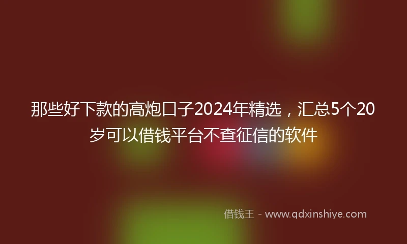 那些好下款的高炮口子2024年精选，汇总5个20岁可以借钱平台不查征信的软件