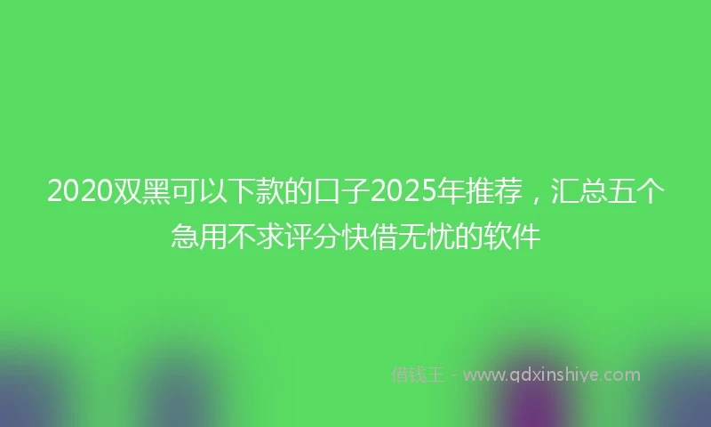 2020双黑可以下款的口子2025年推荐，汇总五个急用不求评分快借无忧的软件