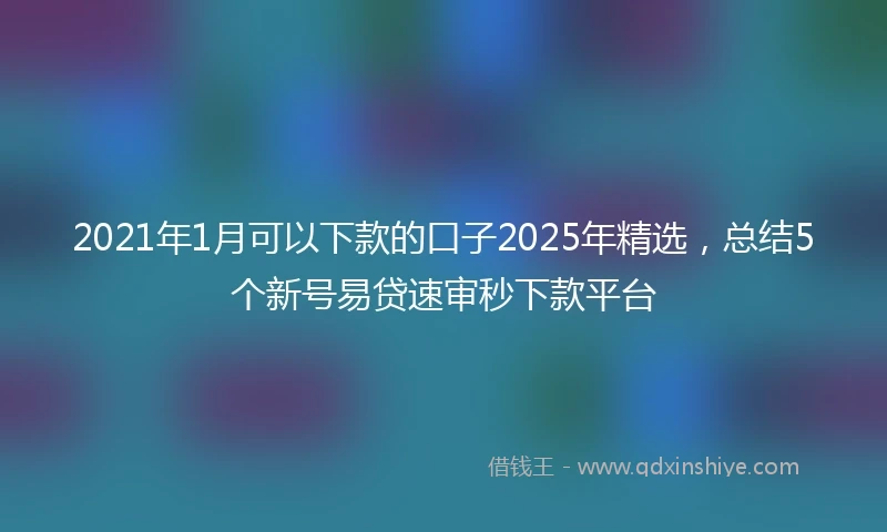 2021年1月可以下款的口子2025年精选，总结5个新号易贷速审秒下款平台