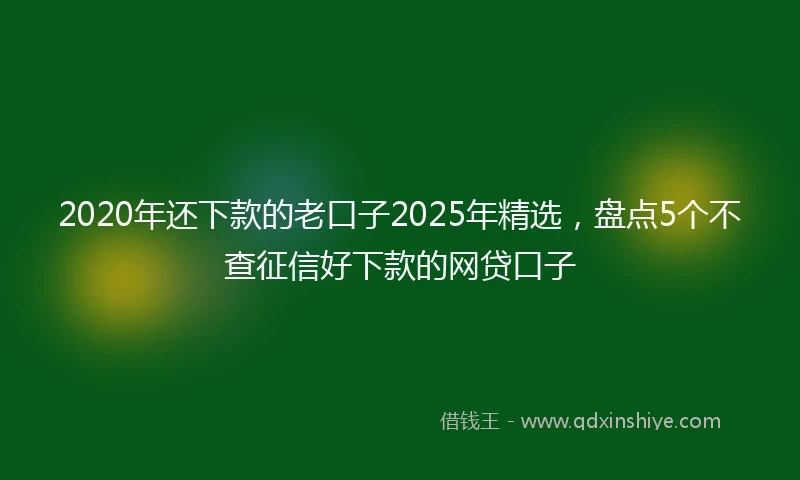2020年还下款的老口子2025年精选，盘点5个不查征信好下款的网贷口子