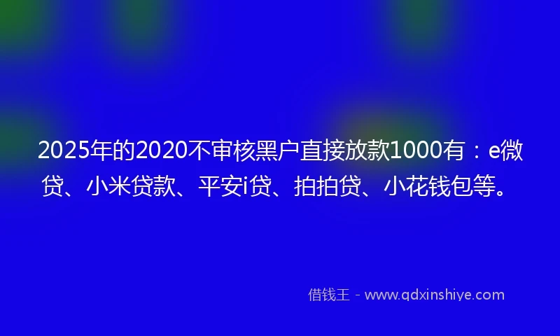 2025年的2020不审核黑户直接放款1000有：e微贷、小米贷款、平安i贷、拍拍贷、小花钱包等。