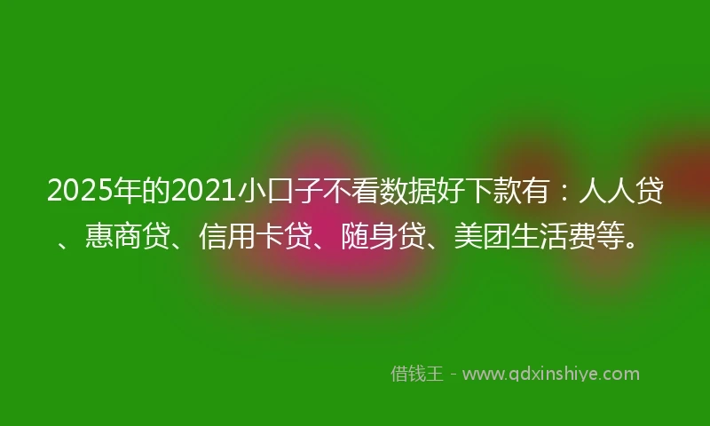 2025年的2021小口子不看数据好下款有：人人贷、惠商贷、信用卡贷、随身贷、美团生活费等。