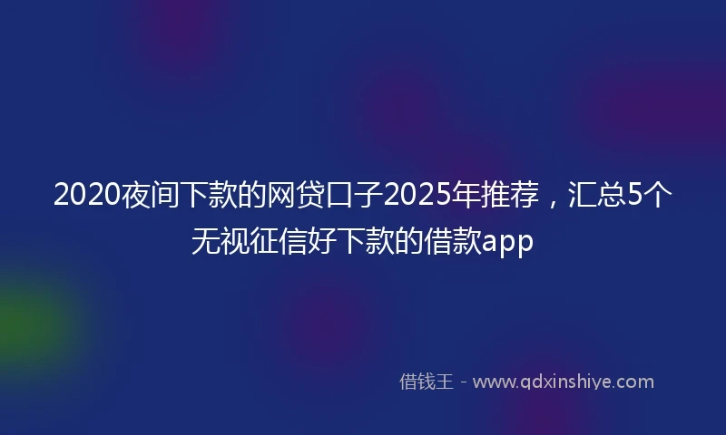 2020夜间下款的网贷口子2025年推荐，汇总5个无视征信好下款的借款app