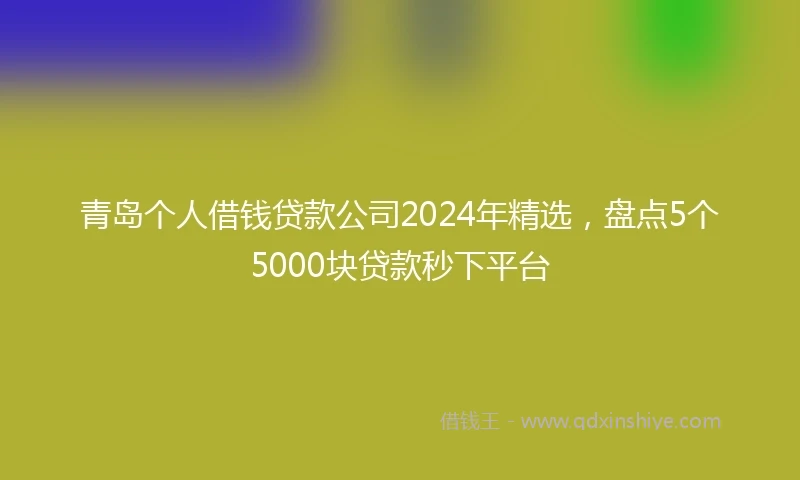 青岛个人借钱贷款公司2024年精选，盘点5个5000块贷款秒下平台