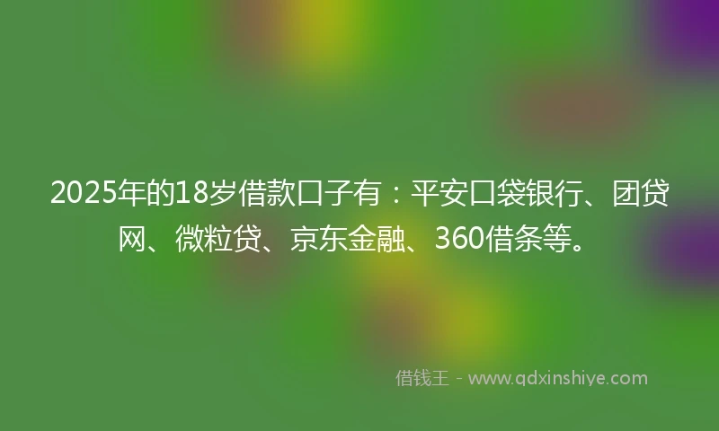 2025年的18岁借款口子有：平安口袋银行、团贷网、微粒贷、京东金融、360借条等。
