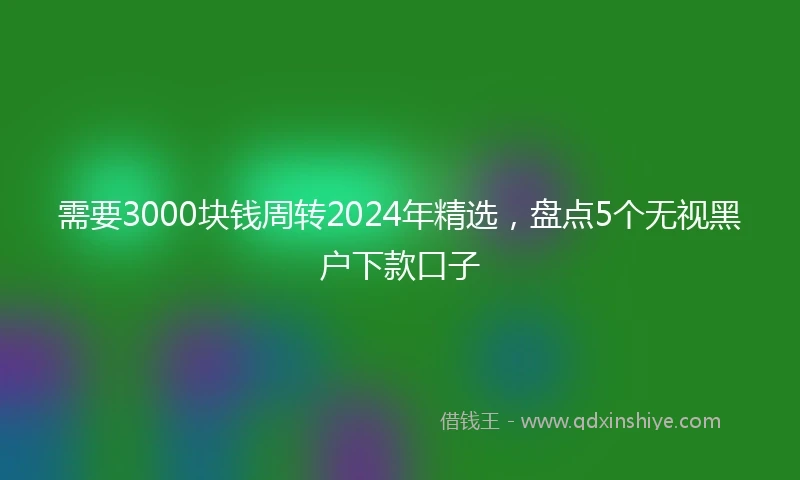 需要3000块钱周转2024年精选，盘点5个无视黑户下款口子