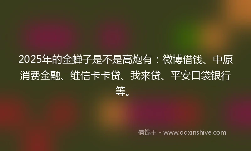 2025年的金蝉子是不是高炮有：微博借钱、中原消费金融、维信卡卡贷、我来贷、平安口袋银行等。