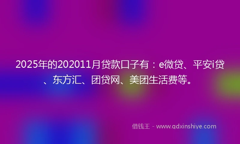 2025年的202011月贷款口子有：e微贷、平安i贷、东方汇、团贷网、美团生活费等。