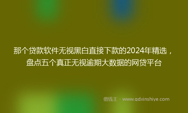 那个贷款软件无视黑白直接下款的2024年精选，盘点五个真正无视逾期大数据的网贷平台