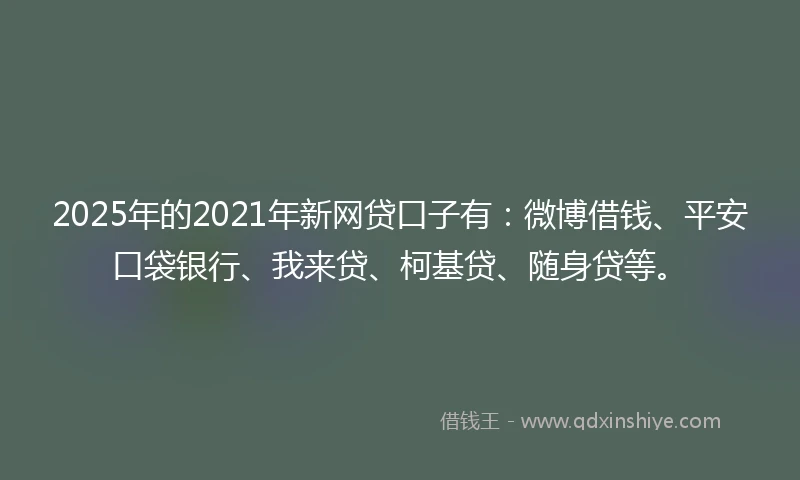 2025年的2021年新网贷口子有：微博借钱、平安口袋银行、我来贷、柯基贷、随身贷等。