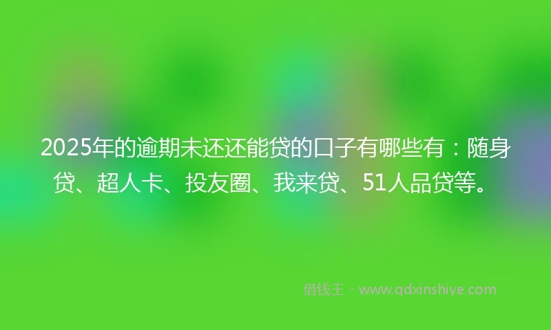 2025年的逾期未还还能贷的口子有哪些有：随身贷、超人卡、投友圈、我来贷、51人品贷等。