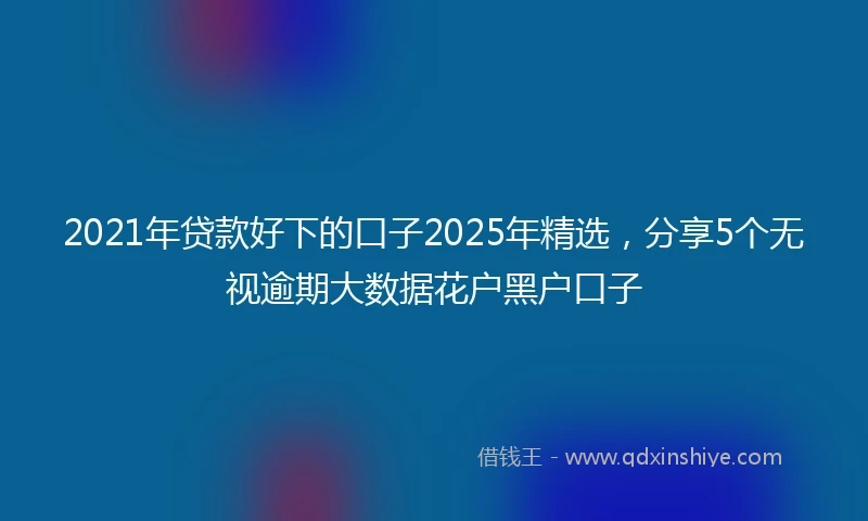 2021年贷款好下的口子2025年精选，分享5个无视逾期大数据花户黑户口子