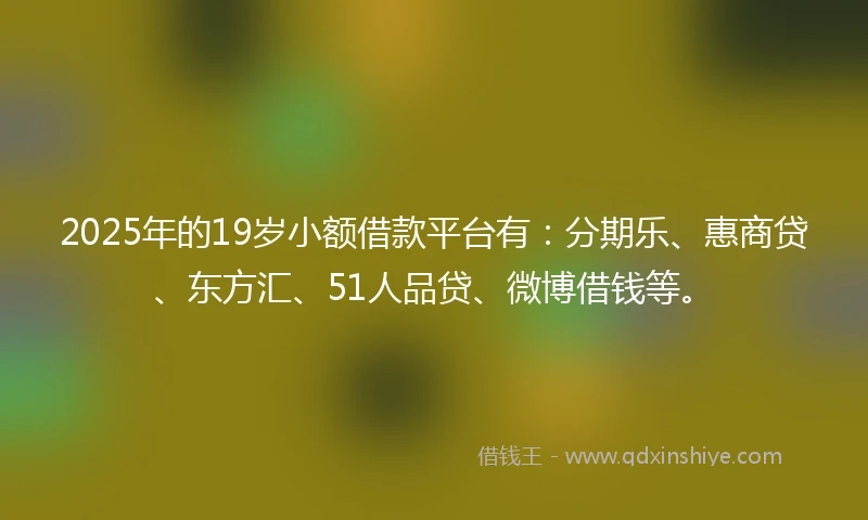 2025年的19岁小额借款平台有：分期乐、惠商贷、东方汇、51人品贷、微博借钱等。