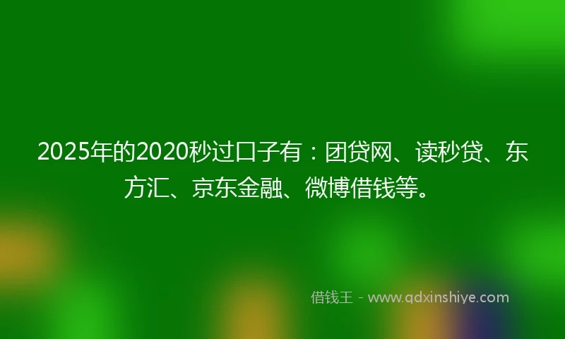 2025年的2020秒过口子有：团贷网、读秒贷、东方汇、京东金融、微博借钱等。