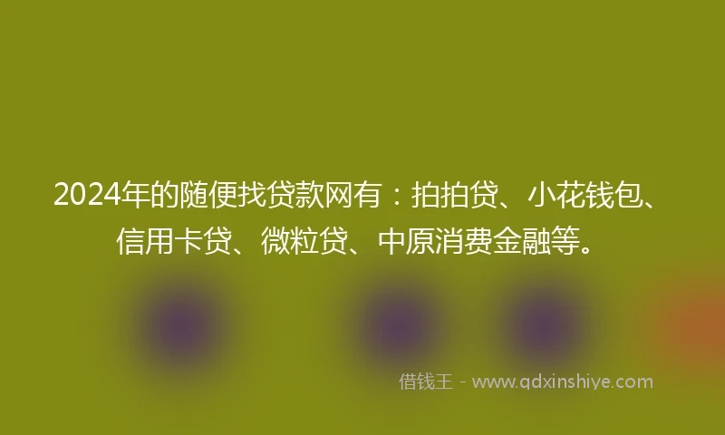 2024年的随便找贷款网有：拍拍贷、小花钱包、信用卡贷、微粒贷、中原消费金融等。