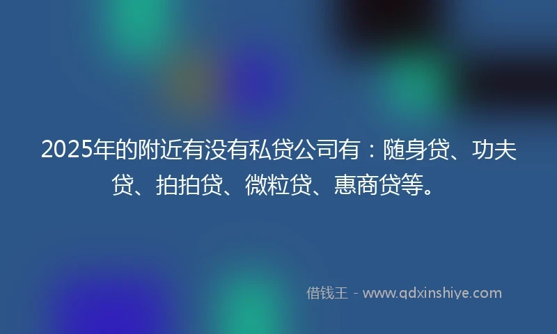 2025年的附近有没有私贷公司有：随身贷、功夫贷、拍拍贷、微粒贷、惠商贷等。