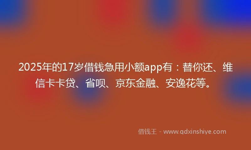 2025年的17岁借钱急用小额app有：替你还、维信卡卡贷、省呗、京东金融、安逸花等。