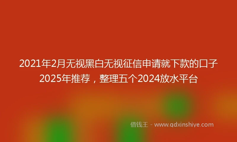 2021年2月无视黑白无视征信申请就下款的口子2025年推荐，整理五个2024放水平台