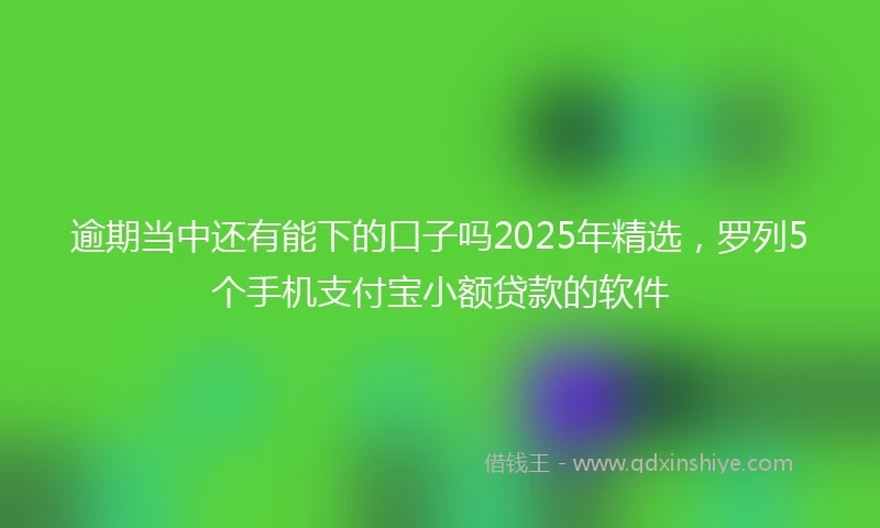 逾期当中还有能下的口子吗2025年精选，罗列5个手机支付宝小额贷款的软件