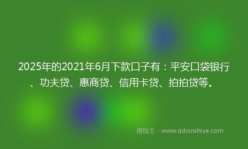 2025年的2021年6月下款口子有：平安口袋银行、功夫贷、惠商贷、信用卡贷、拍拍贷等。