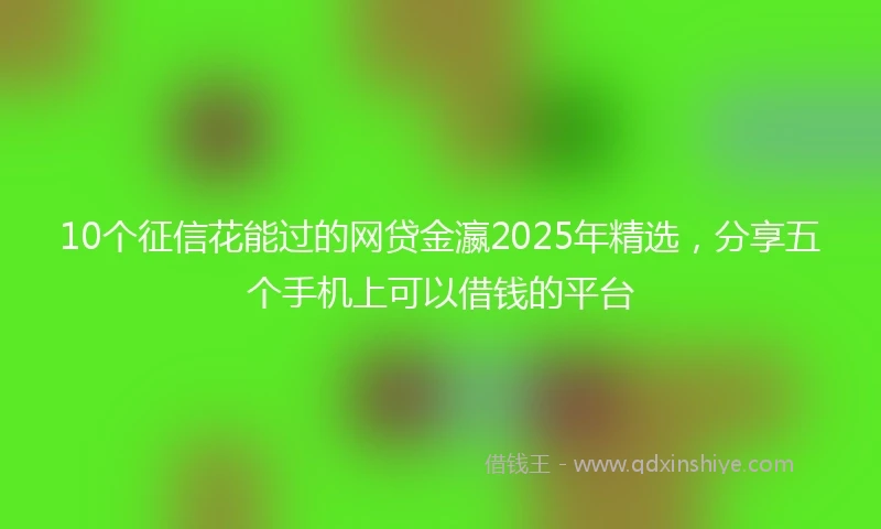 10个征信花能过的网贷金瀛2025年精选，分享五个手机上可以借钱的平台