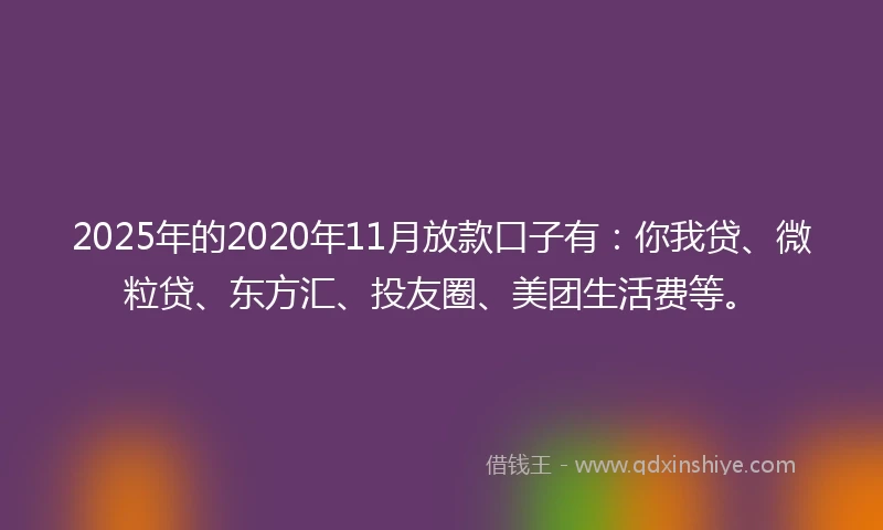 2025年的2020年11月放款口子有：你我贷、微粒贷、东方汇、投友圈、美团生活费等。