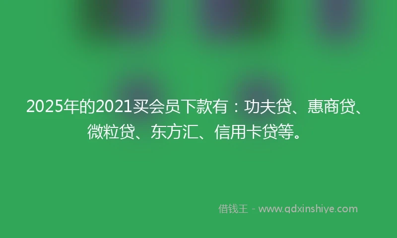 2025年的2021买会员下款有：功夫贷、惠商贷、微粒贷、东方汇、信用卡贷等。