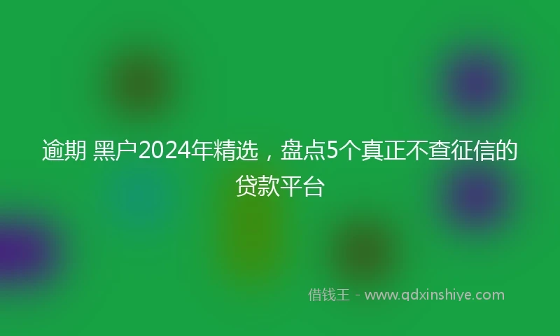 逾期 黑户2024年精选，盘点5个真正不查征信的贷款平台