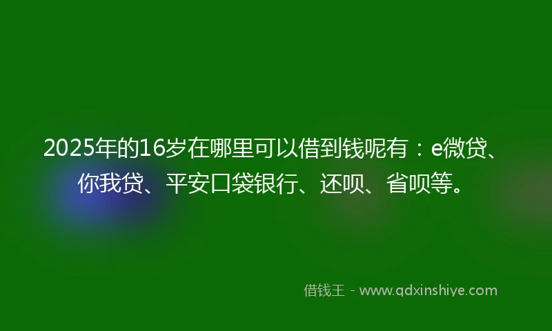 2025年的16岁在哪里可以借到钱呢有：e微贷、你我贷、平安口袋银行、还呗、省呗等。