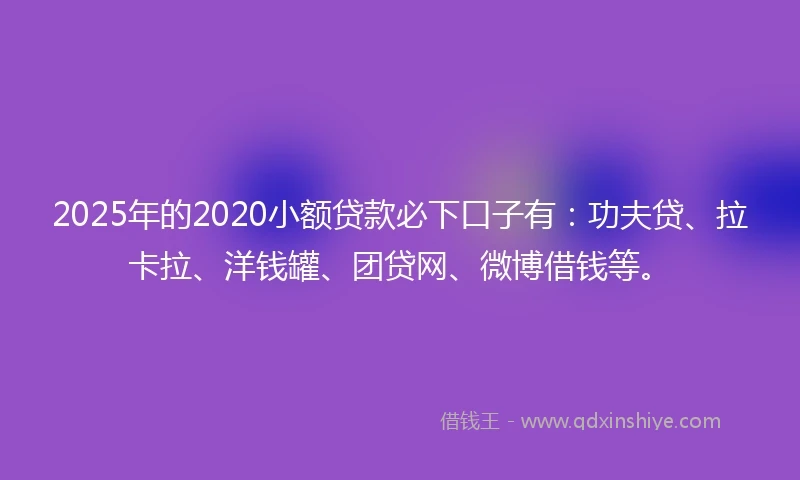 2025年的2020小额贷款必下口子有：功夫贷、拉卡拉、洋钱罐、团贷网、微博借钱等。