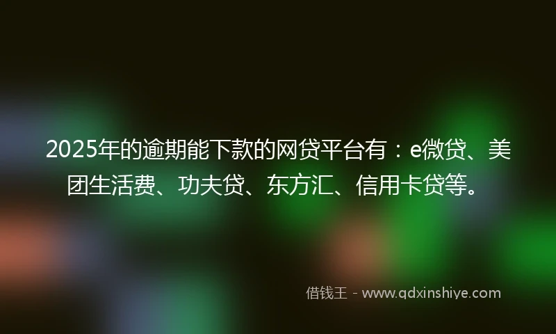 2025年的逾期能下款的网贷平台有：e微贷、美团生活费、功夫贷、东方汇、信用卡贷等。