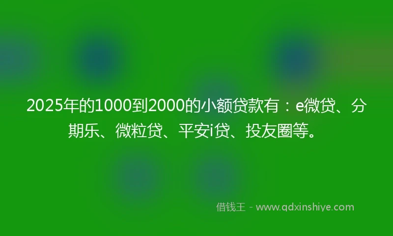 2025年的1000到2000的小额贷款有：e微贷、分期乐、微粒贷、平安i贷、投友圈等。