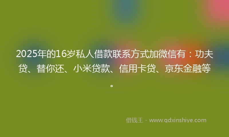2025年的16岁私人借款联系方式加微信有：功夫贷、替你还、小米贷款、信用卡贷、京东金融等。
