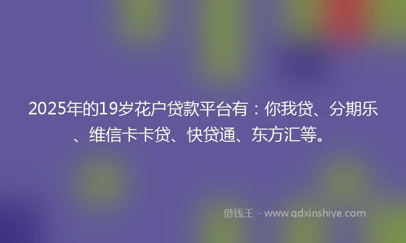 2025年的19岁花户贷款平台有：你我贷、分期乐、维信卡卡贷、快贷通、东方汇等。