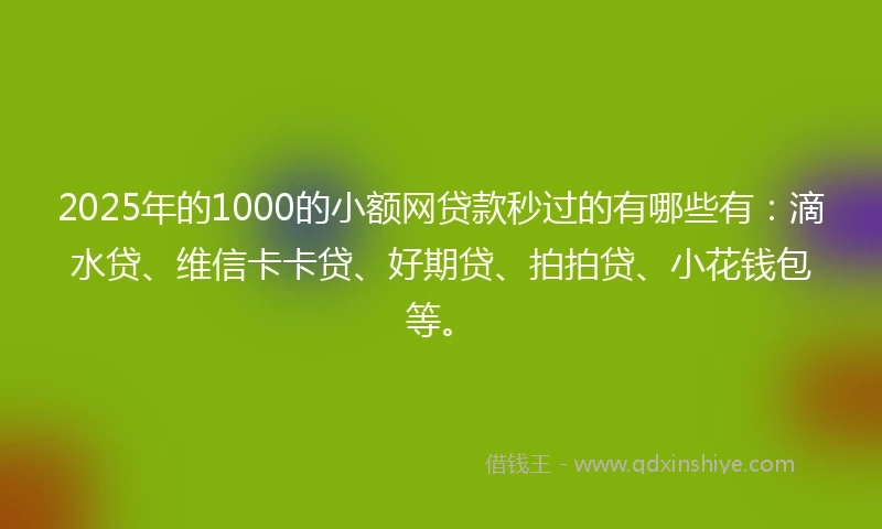 2025年的1000的小额网贷款秒过的有哪些有：滴水贷、维信卡卡贷、好期贷、拍拍贷、小花钱包等。