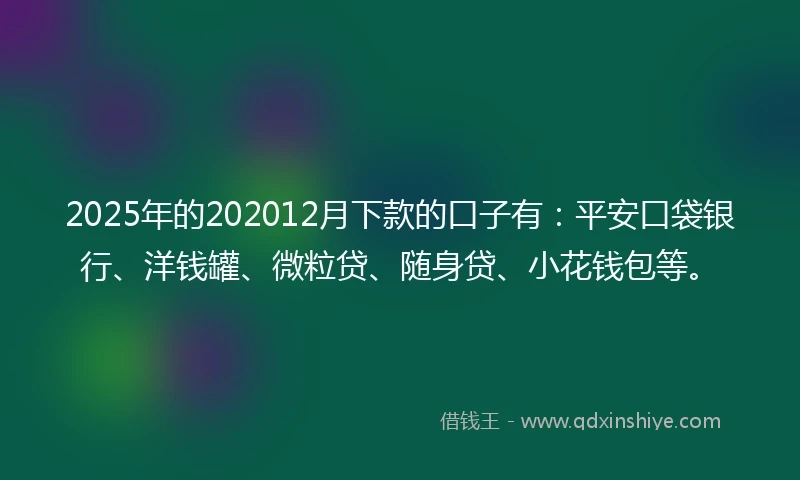 2025年的202012月下款的口子有：平安口袋银行、洋钱罐、微粒贷、随身贷、小花钱包等。
