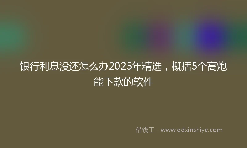 银行利息没还怎么办2025年精选，概括5个高炮能下款的软件