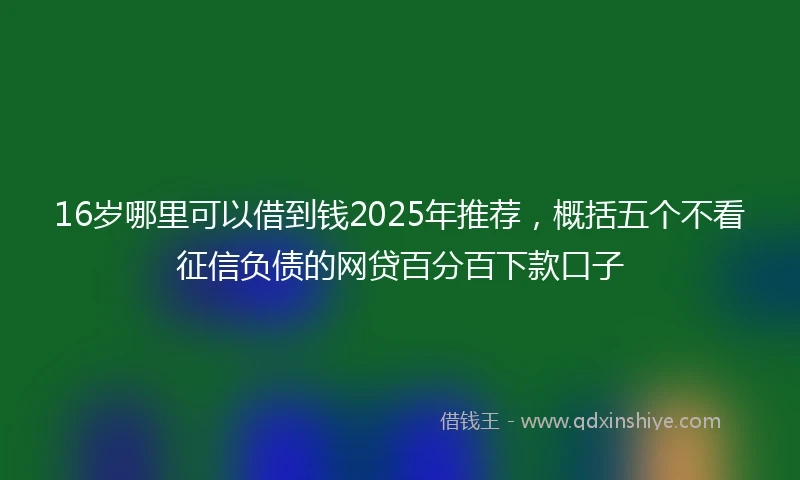 16岁哪里可以借到钱2025年推荐，概括五个不看征信负债的网贷百分百下款口子
