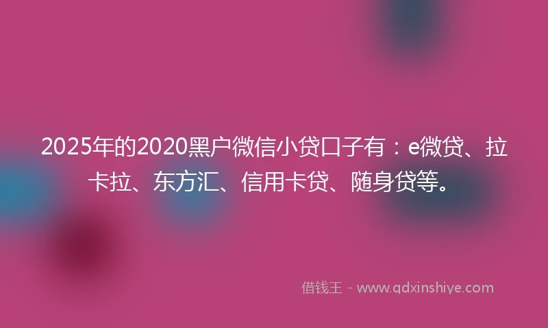 2025年的2020黑户微信小贷口子有：e微贷、拉卡拉、东方汇、信用卡贷、随身贷等。